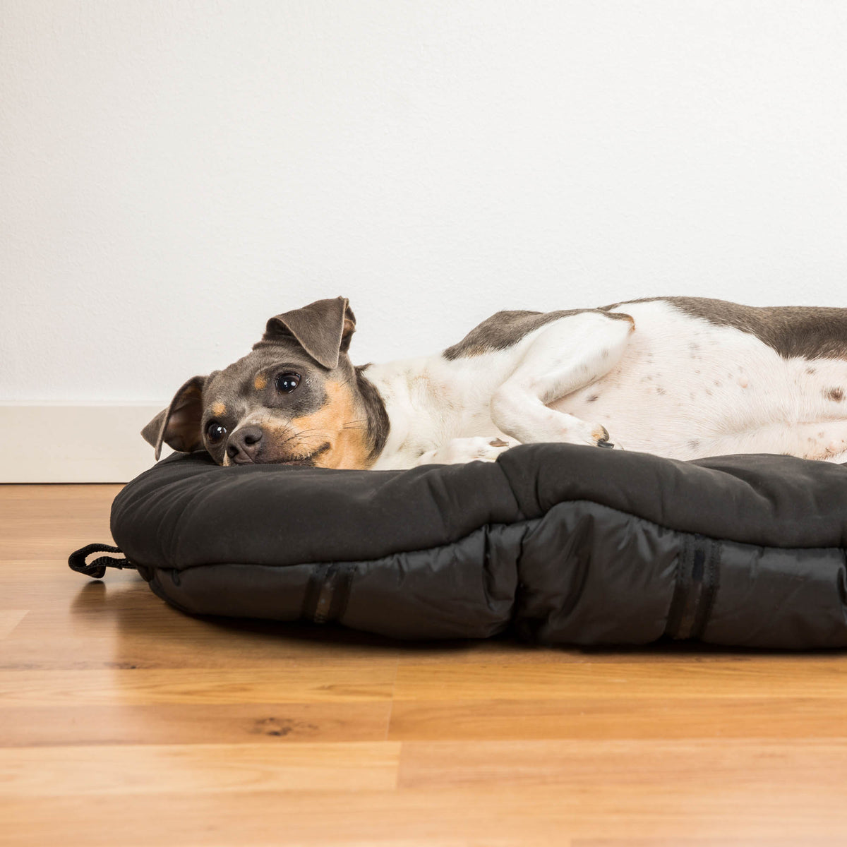 Hunde-Reisebett