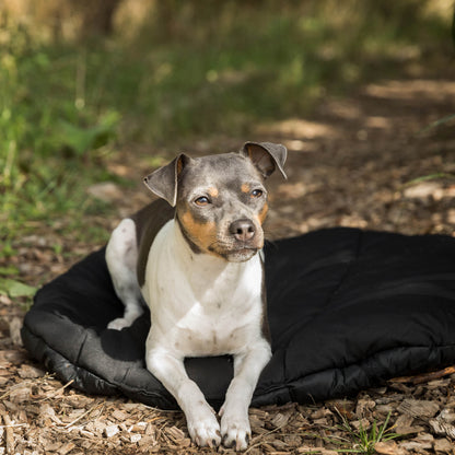 Hunde-Reisebett