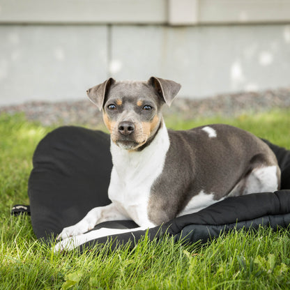 Hunde-Reisebett