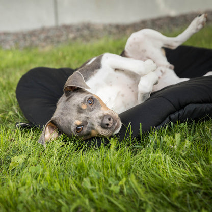 Hunde-Reisebett