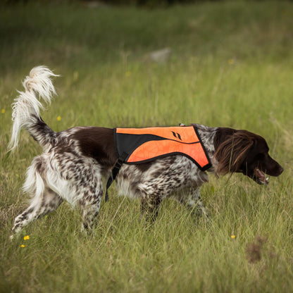 Gilet ad Alta Visibilità per Cani POINT