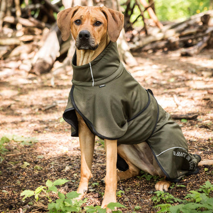 BAY Mesh dog coat, Low set tail