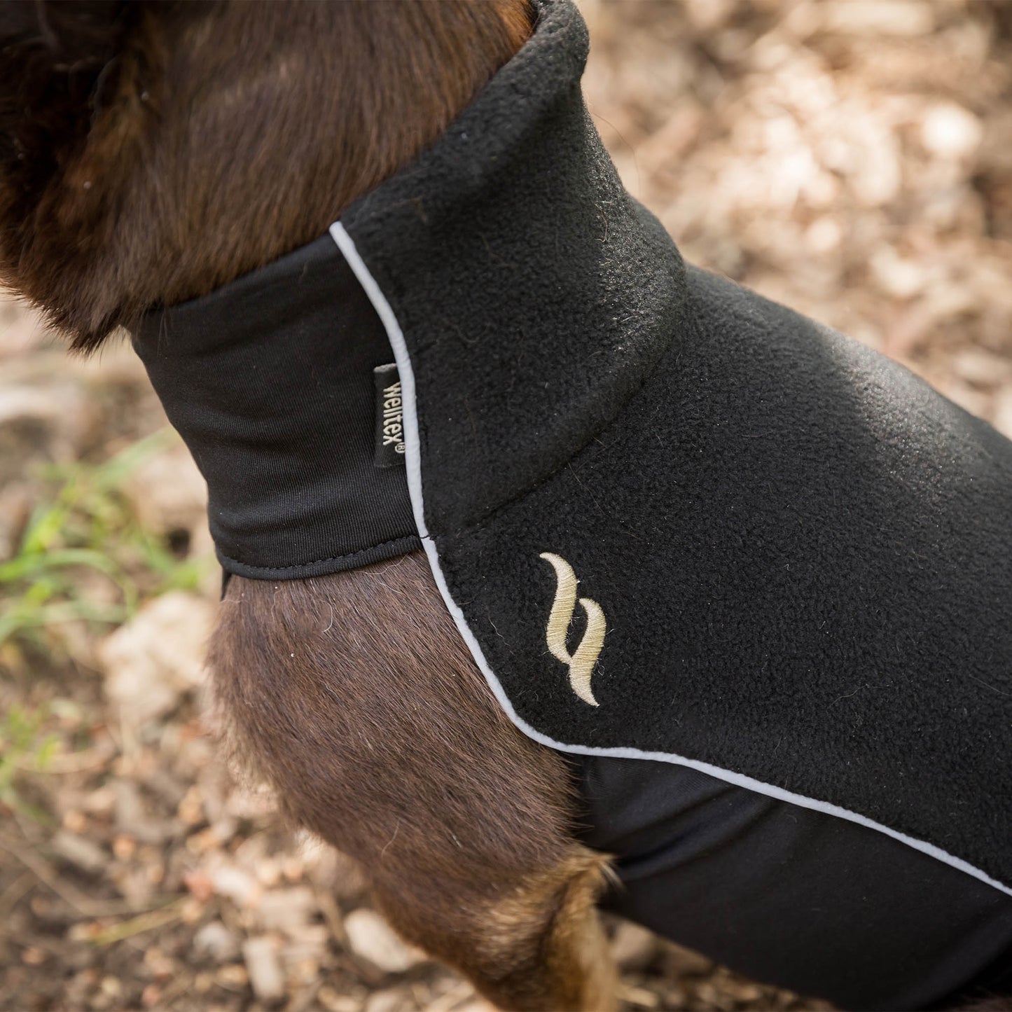 "Eddie" Petite Fleece Jumper