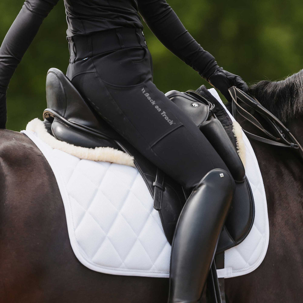 Sottosella da Dressage Airflow