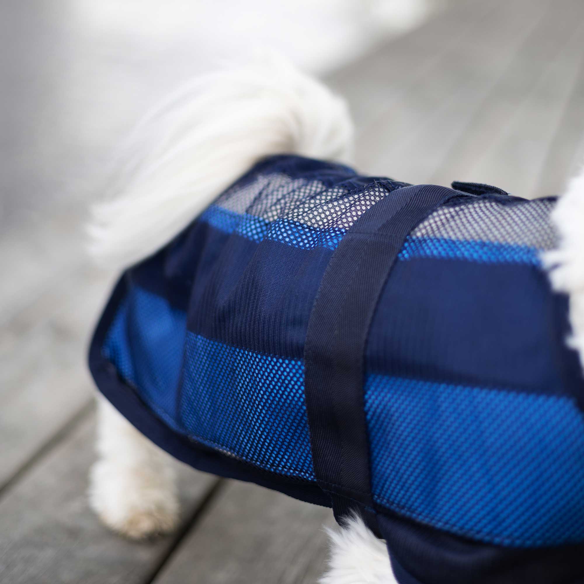 Cool on Track®️ Hundemantel mit Kühl-Effekt 2.0
