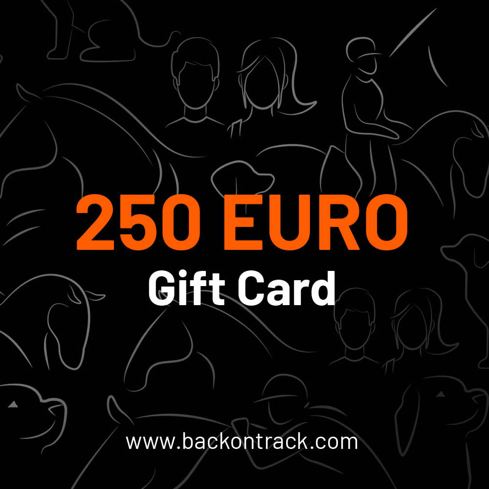 Choose your gift card value