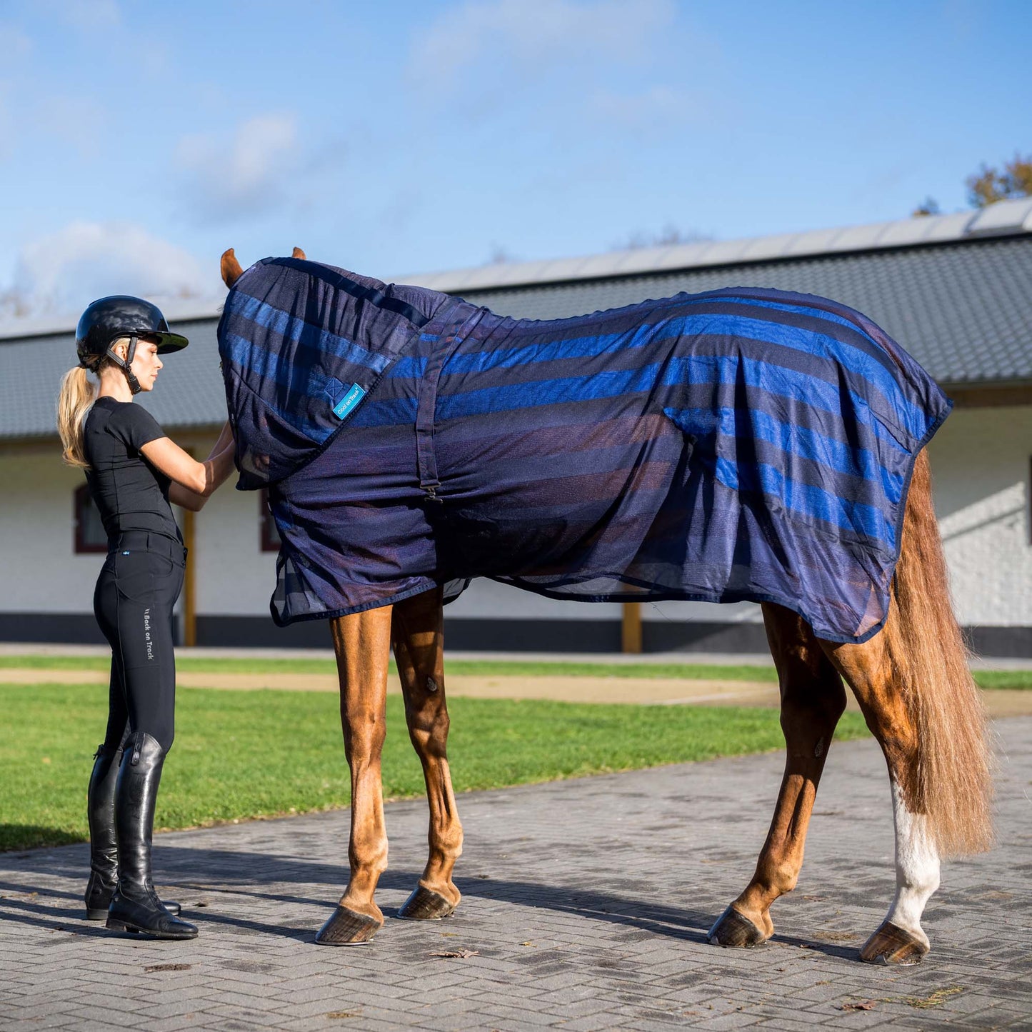 Cool on Track Horse Neck Cover