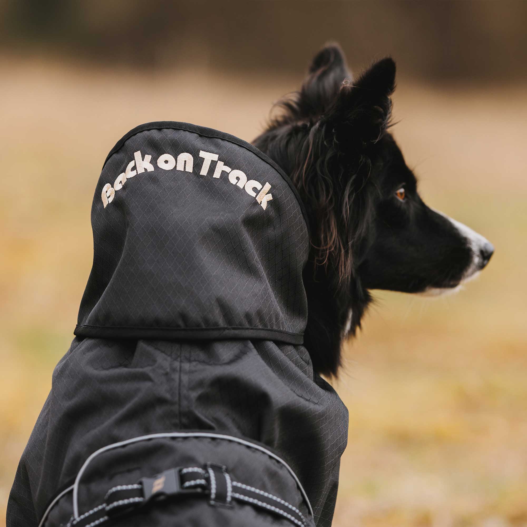 Hunde Allwetterdecke Ungefüttert
