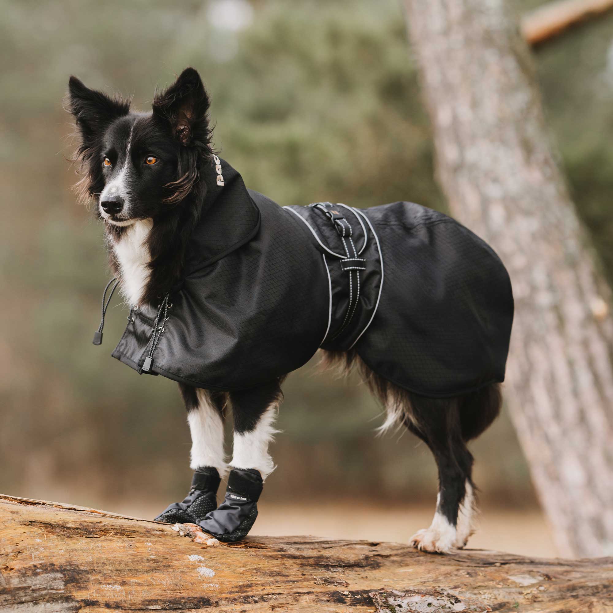 Hunde Allwetterdecke Ungefüttert