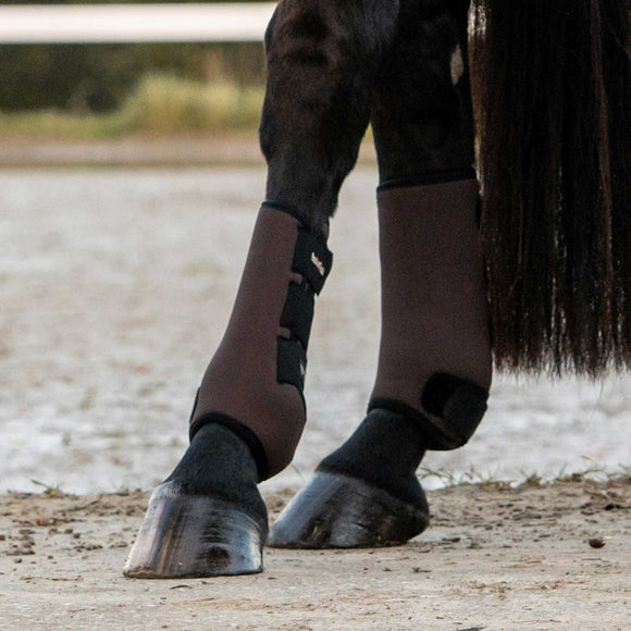 Beinschutz – Back on Track Germany