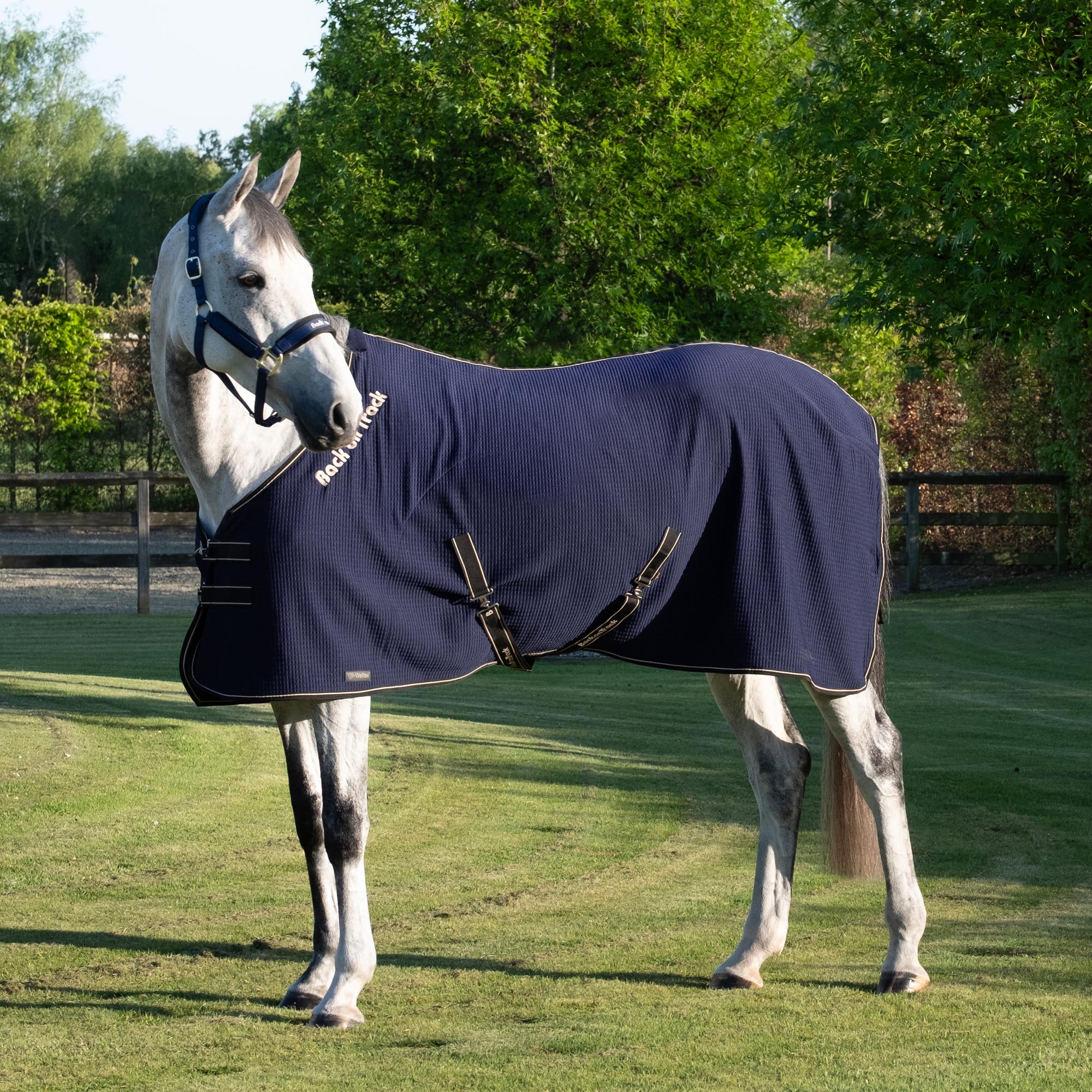 Quick Cooler Abschwitzdecke