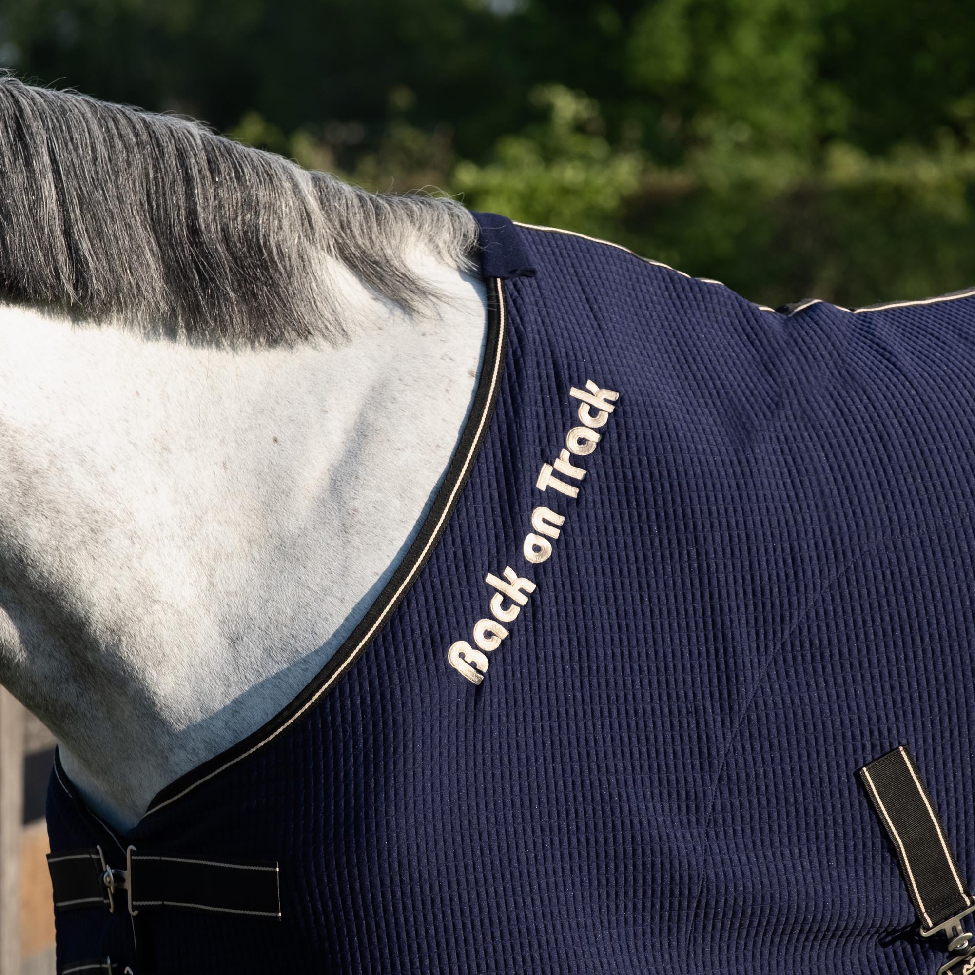 Quick Cooler Abschwitzdecke