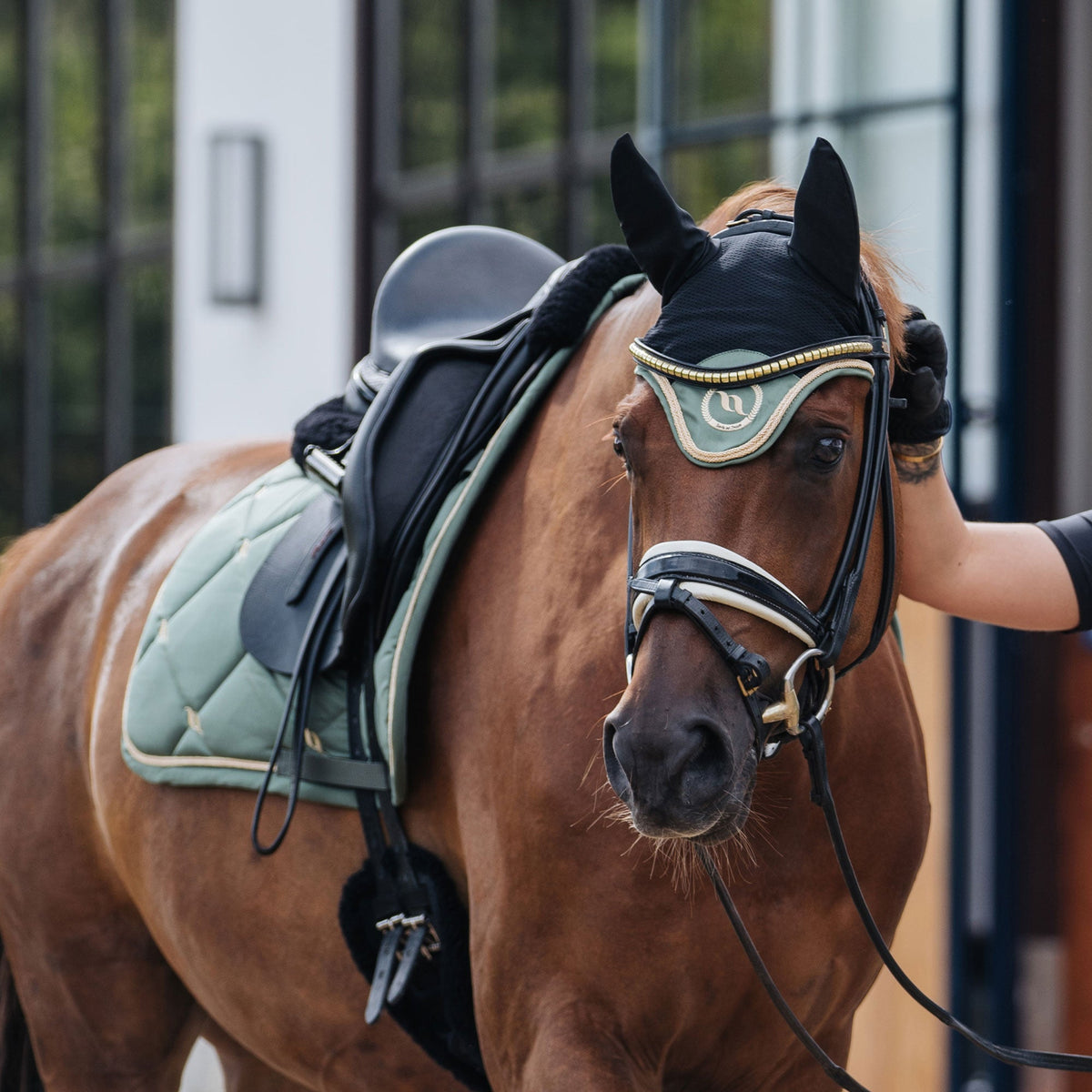 Nights Collection Saddle Pad Dressage