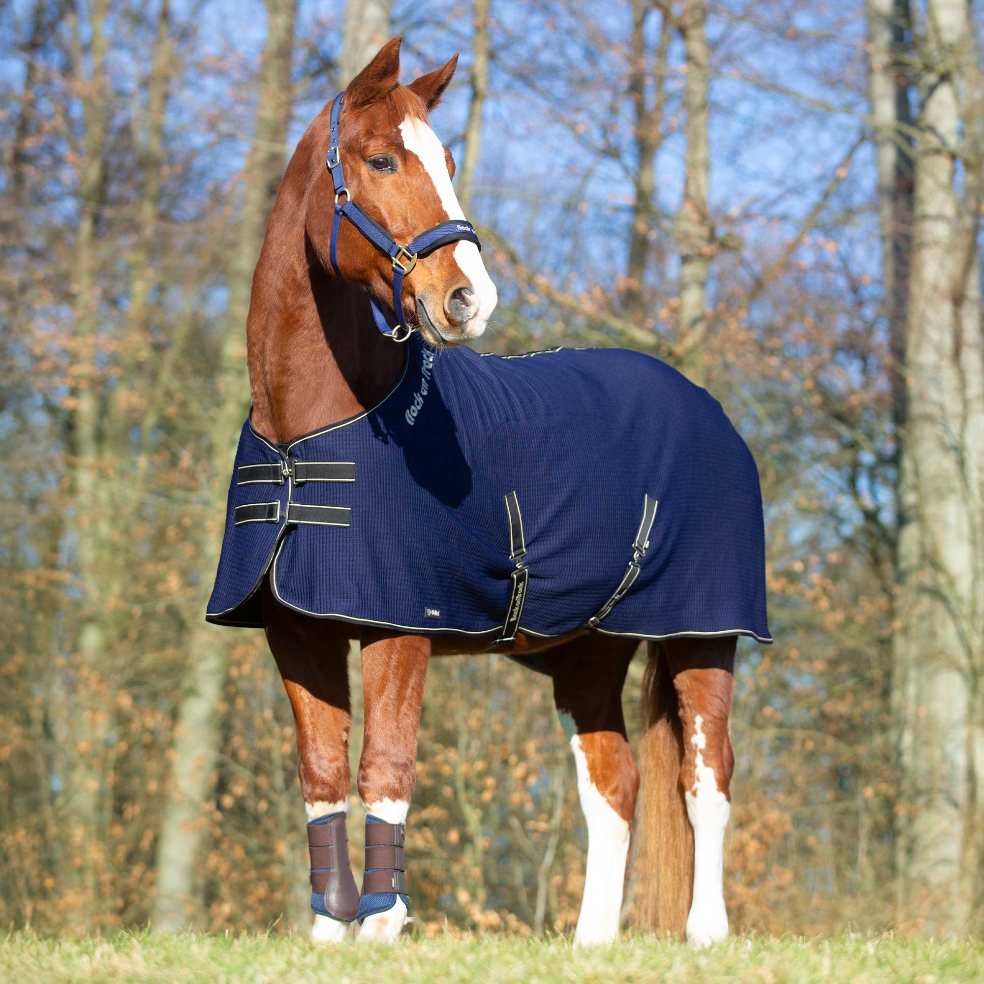 Quick Cooler Abschwitzdecke