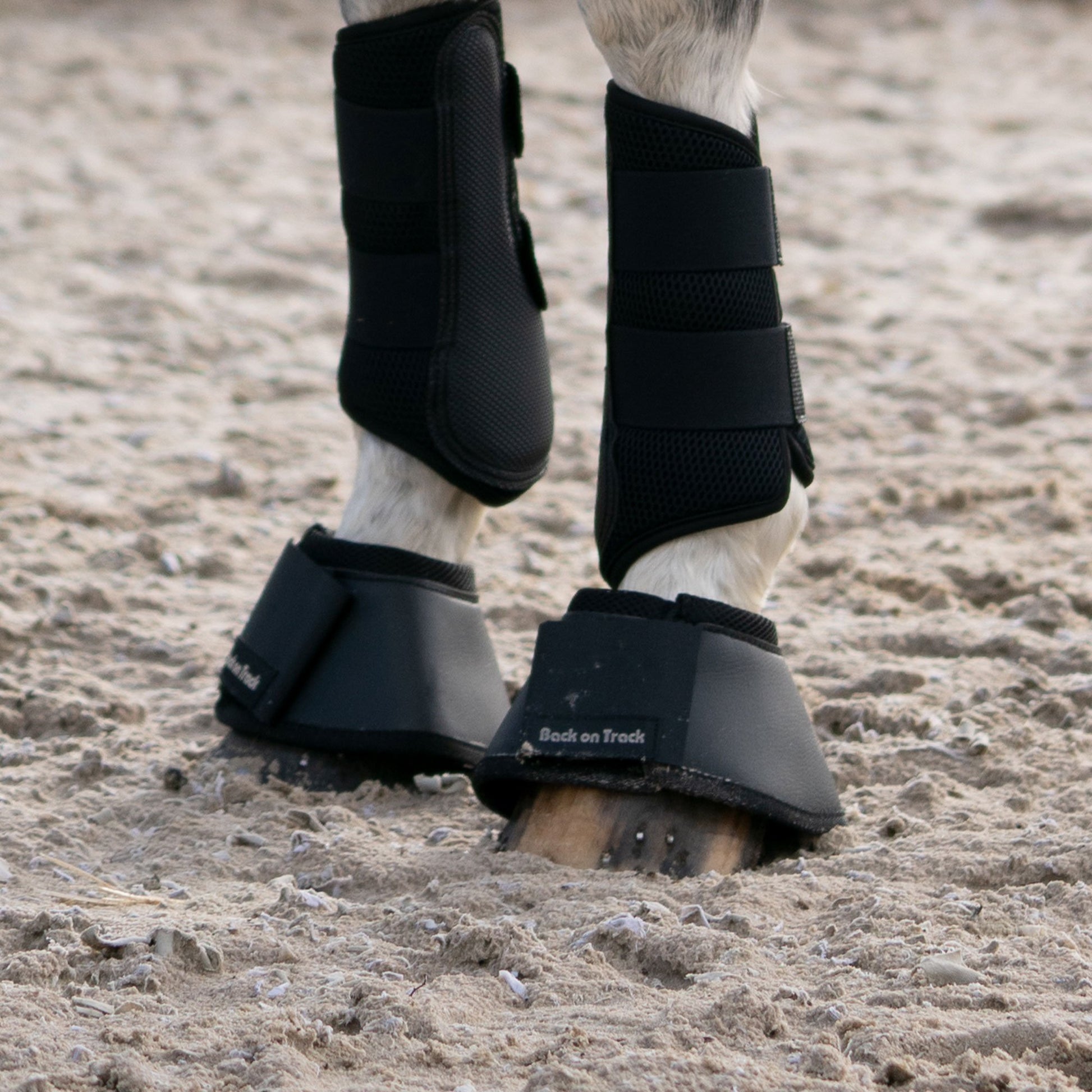 Hästboots - Back on Track Sverige (5300214268059)