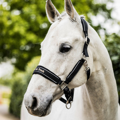 "Werano" Reflective Halter