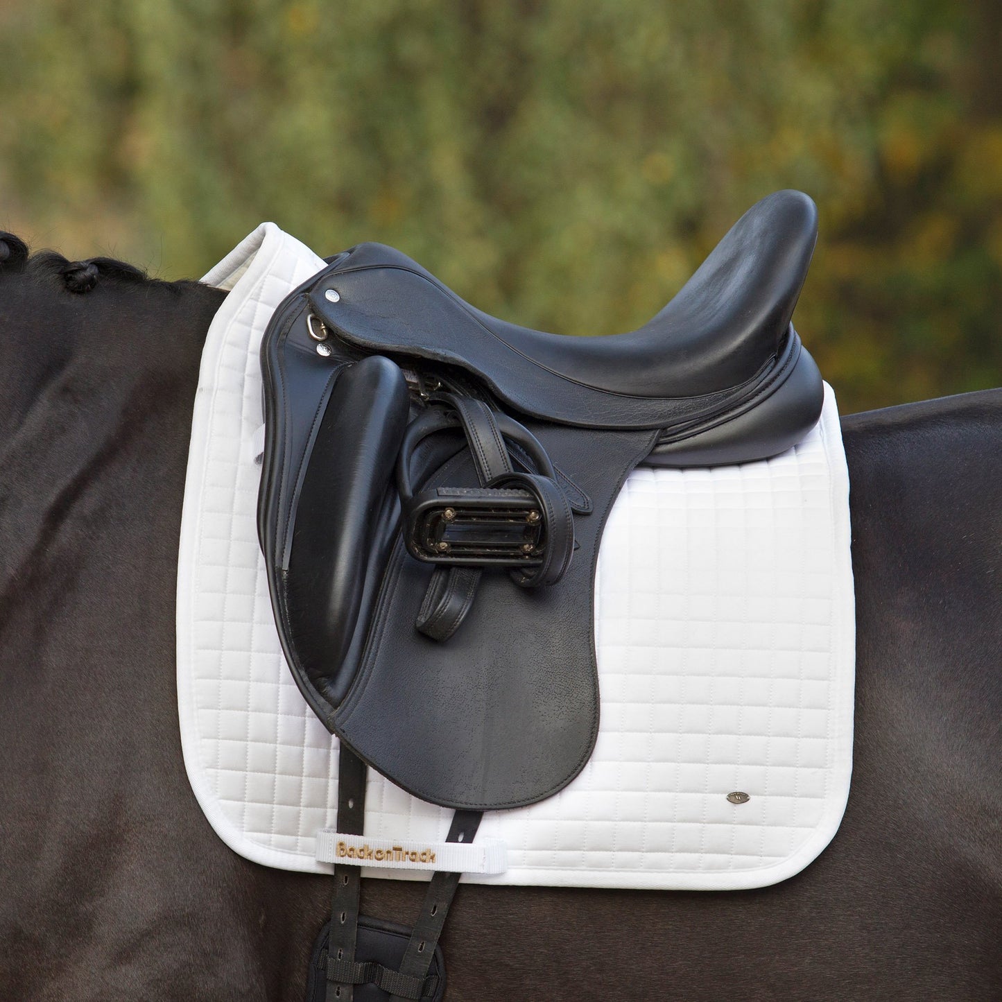 Schabrak Dressyr No1 - Back on Track Sverige (5300203651227)