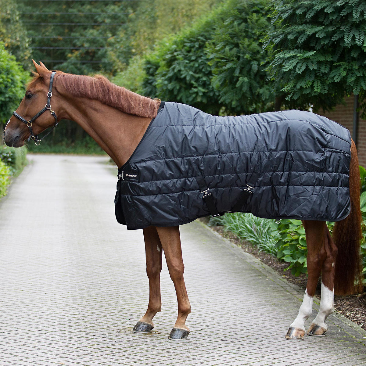 Rug Rime "Mia" 160g