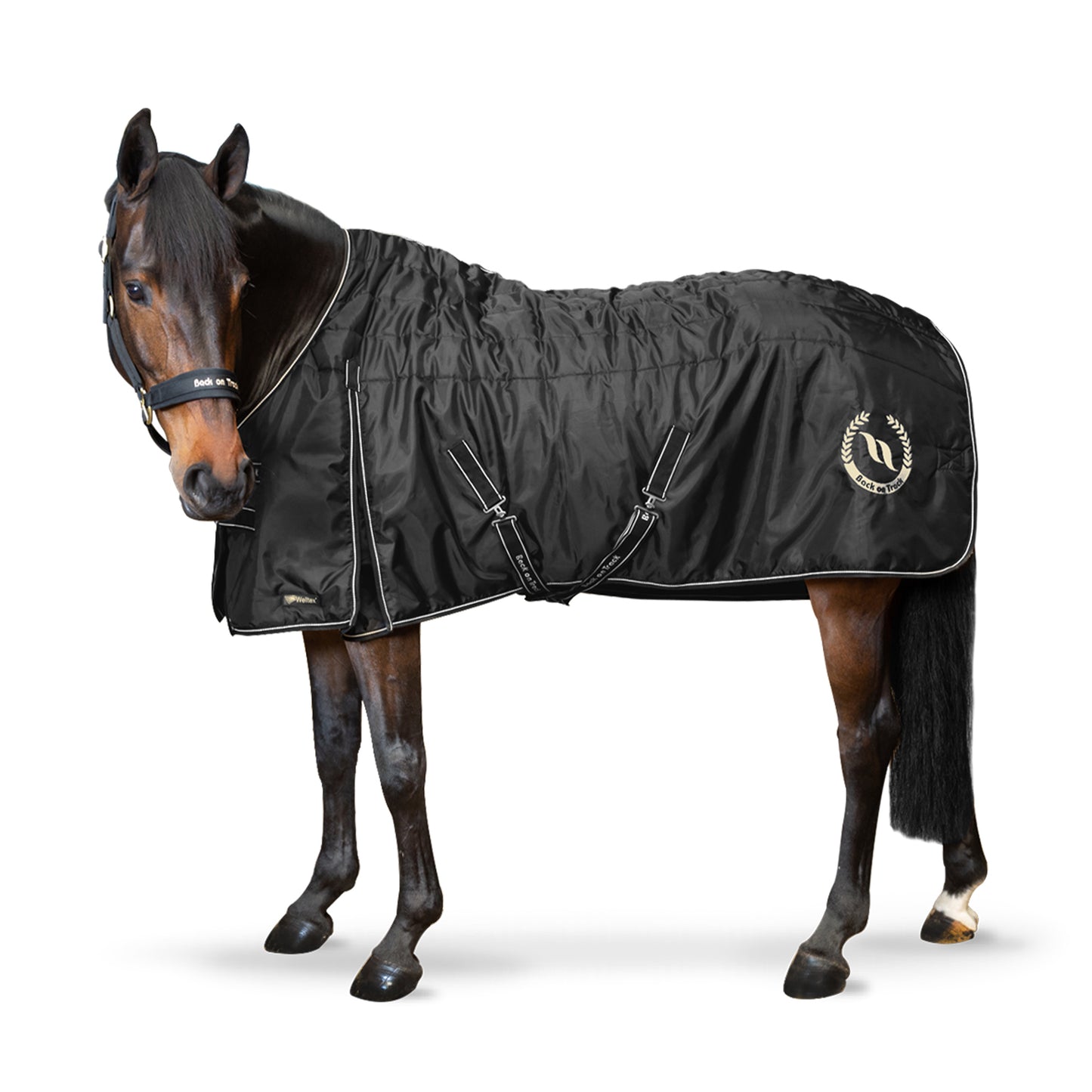 Stalldecke "Millie", 100g