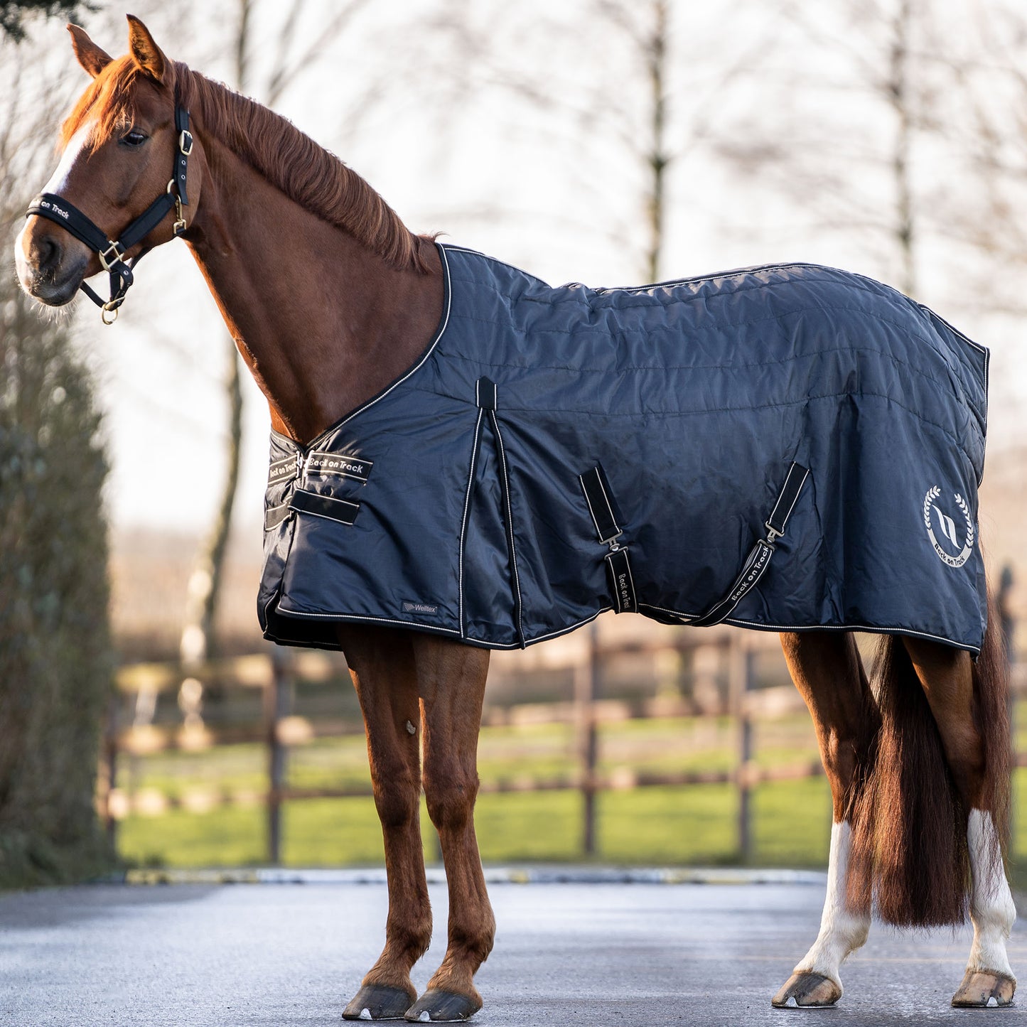 Stalldecke "Millie", 100g