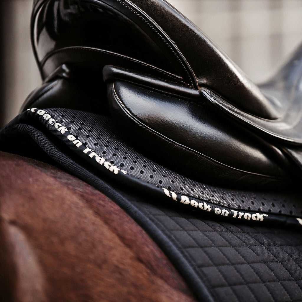 Tapis d'acupression pour le dos Accuhorsemat | La sellerie de Maé Tapis d'acupression pour le dos Accuhorsemat | La sellerie de Maé