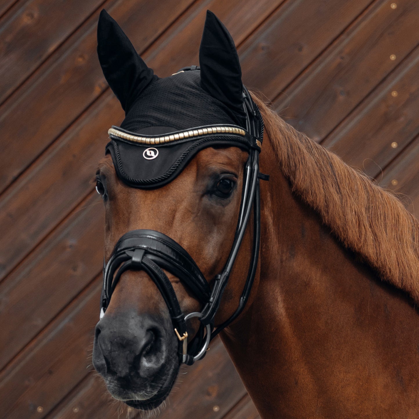 Deep Nights Bonnet