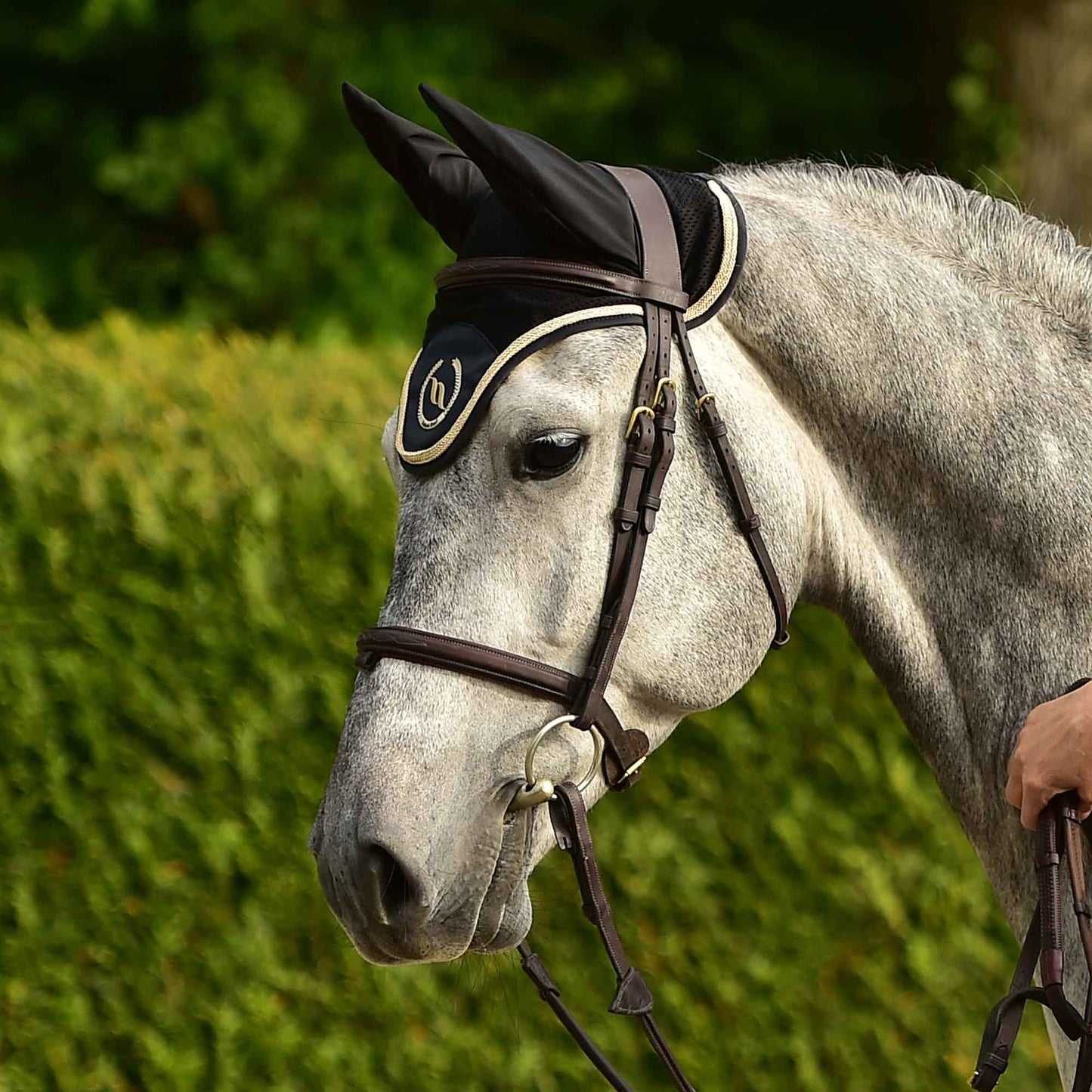 Nights Collection Fliegenhaube