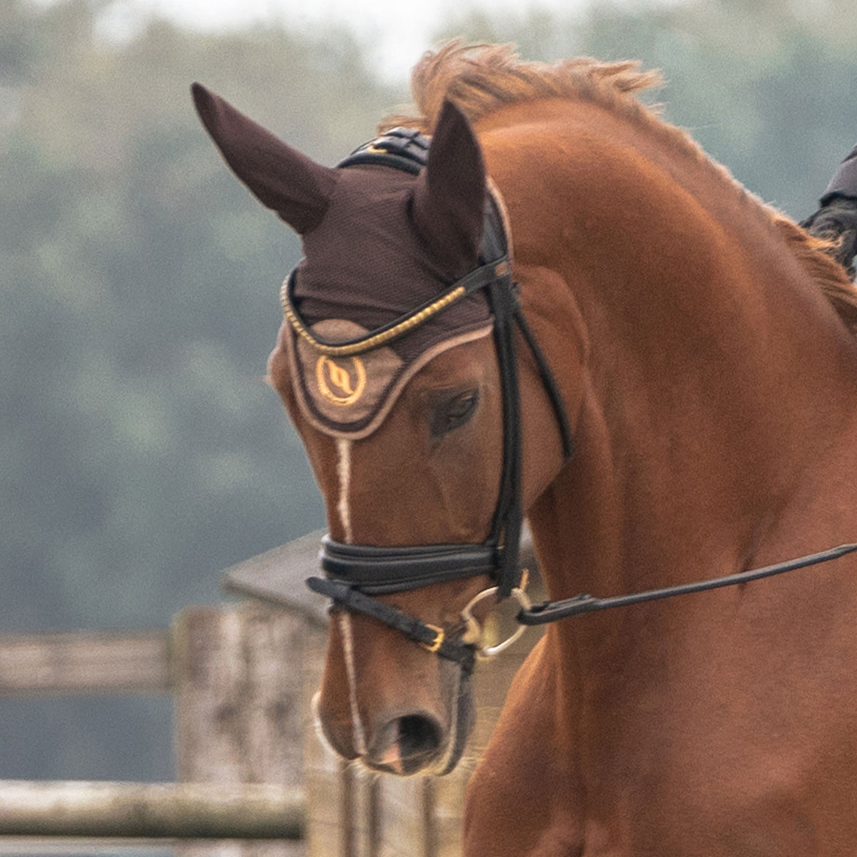 "Haze Collection" Fliegenhaube