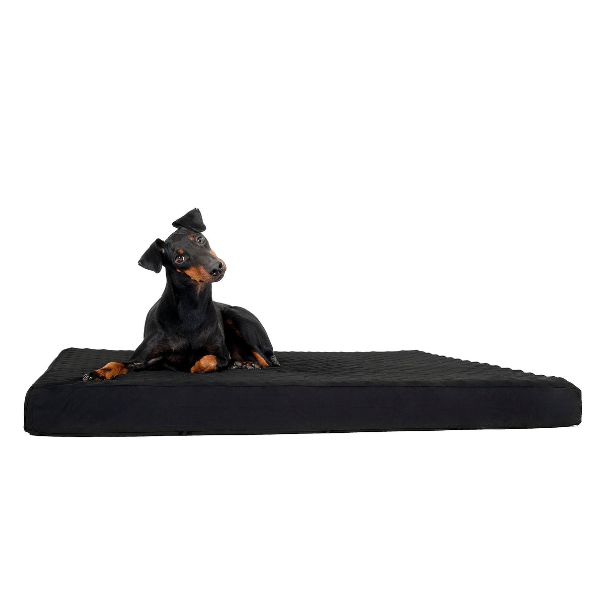 Hunde-Matratze