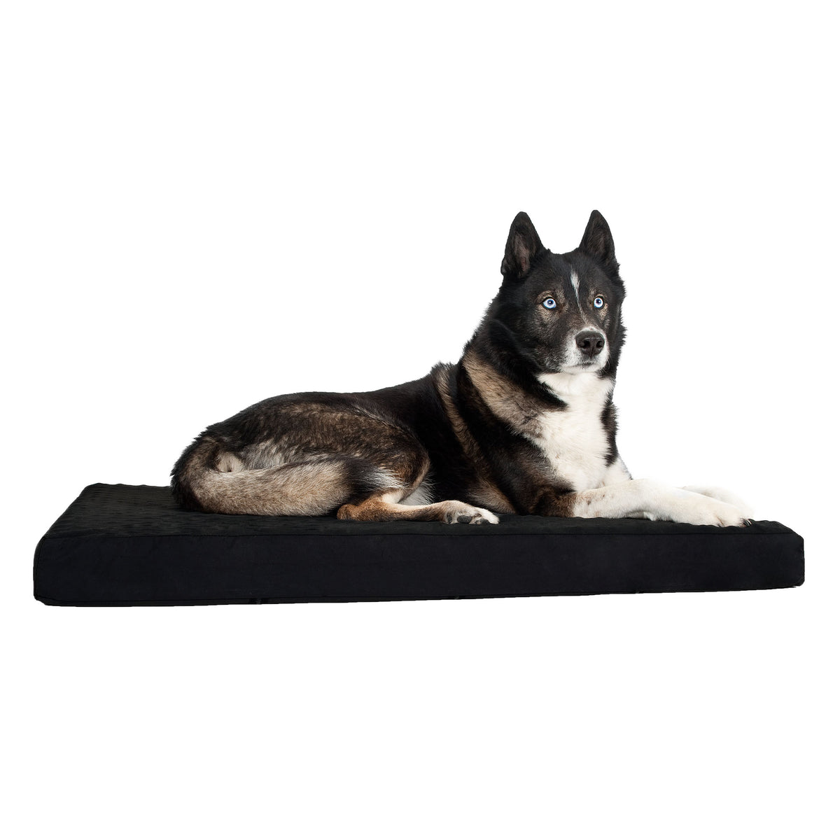 Hunde-Matratze