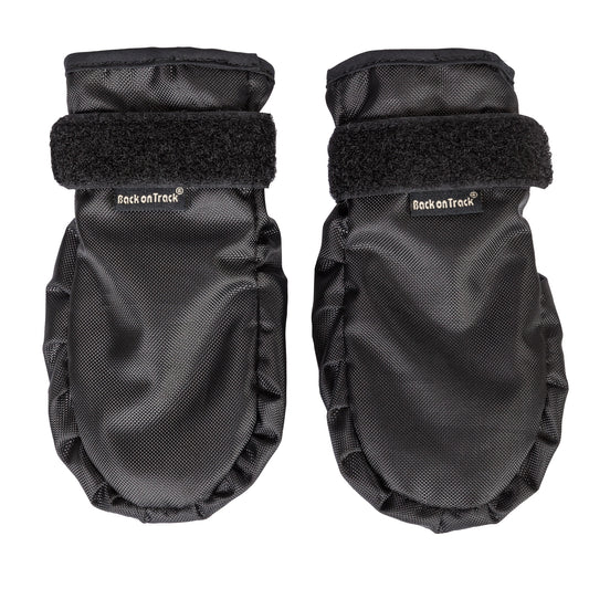 "Koda" Pet Shoes