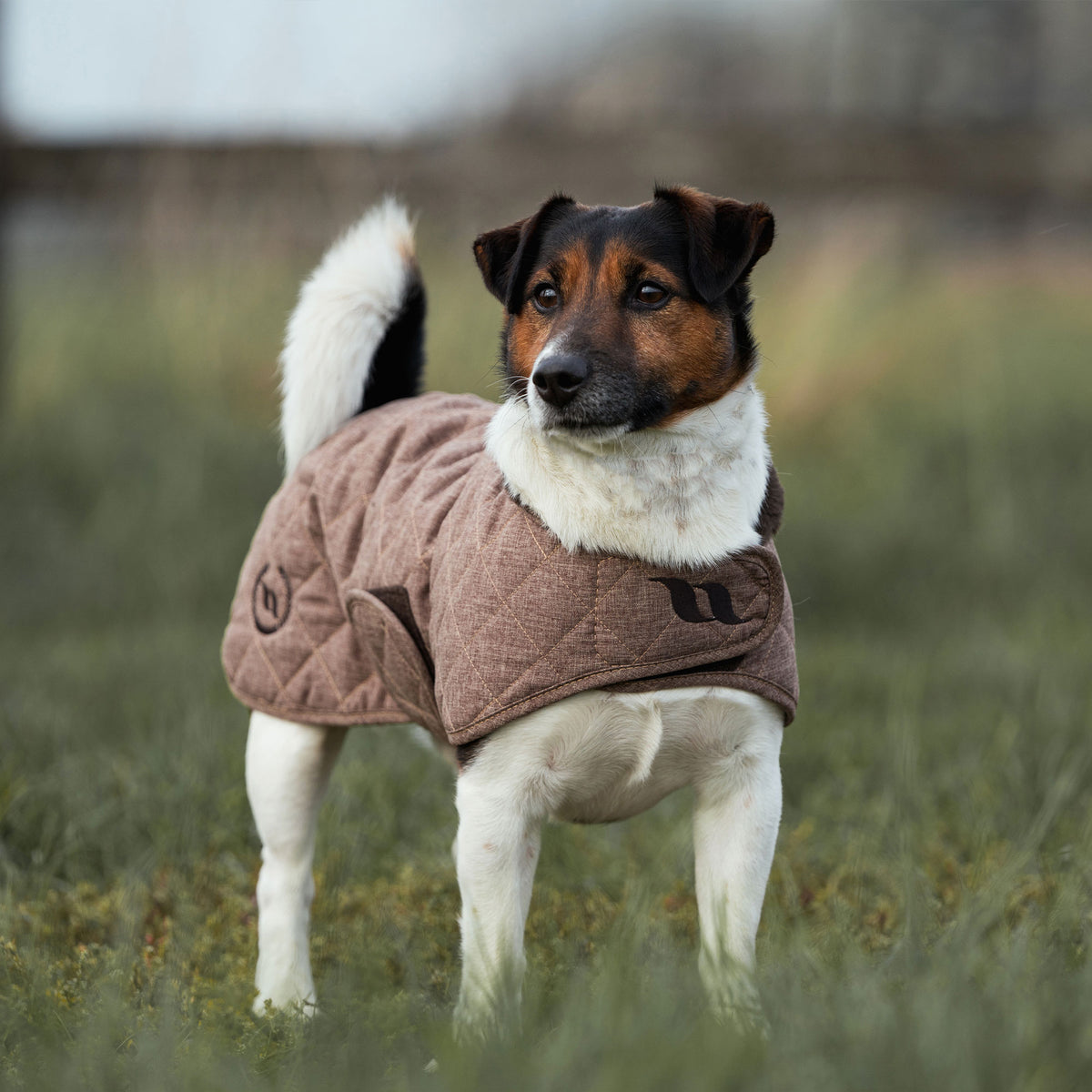 "Haze Collection" Hundemantel, 200 g