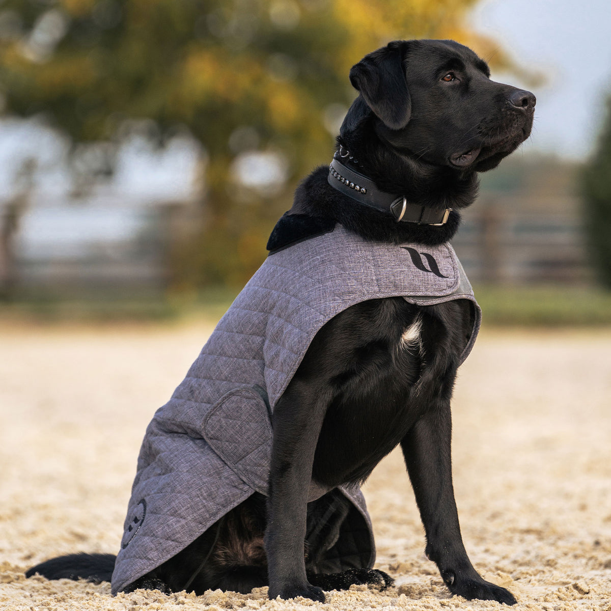 "Haze Collection" Hundemantel, 200 g