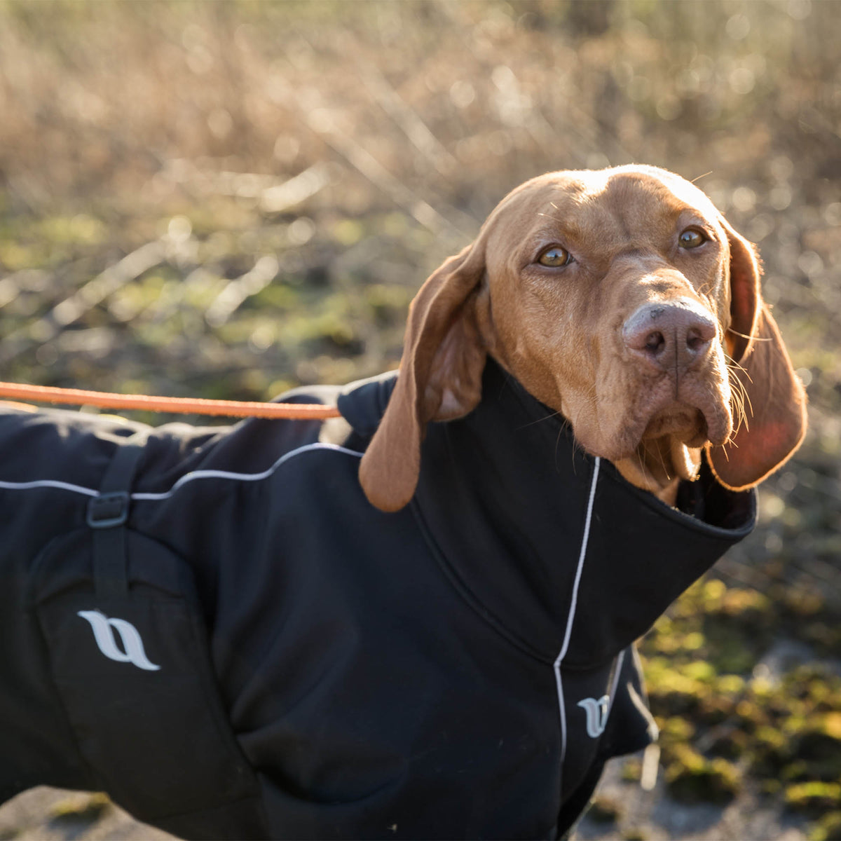 "Nella" Allround-Hundemantel