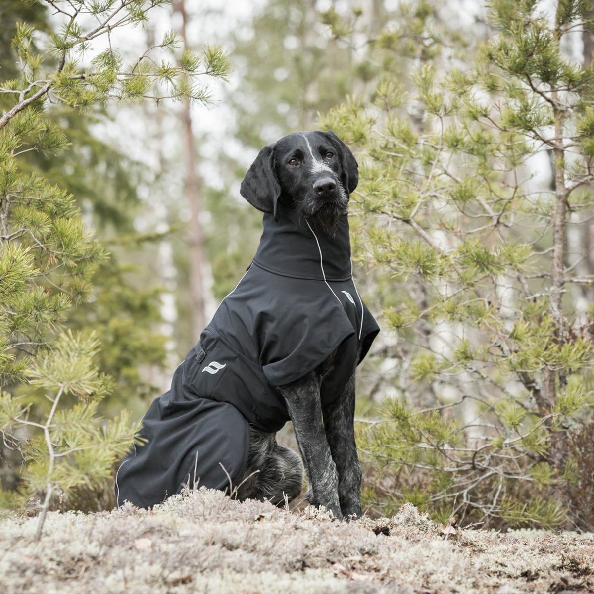 "Nella" Allround-Hundemantel