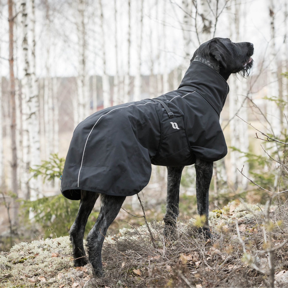 "Nella" Allround-Hundemantel