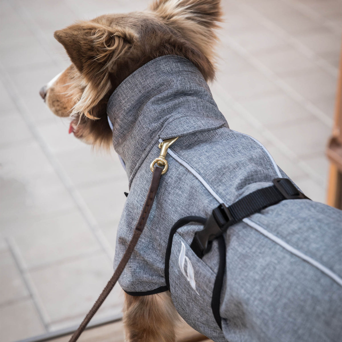 "Nella" Allround-Hundemantel