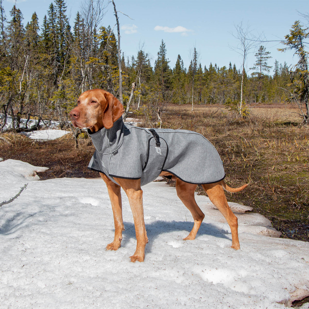 "Nella" Allround-Hundemantel