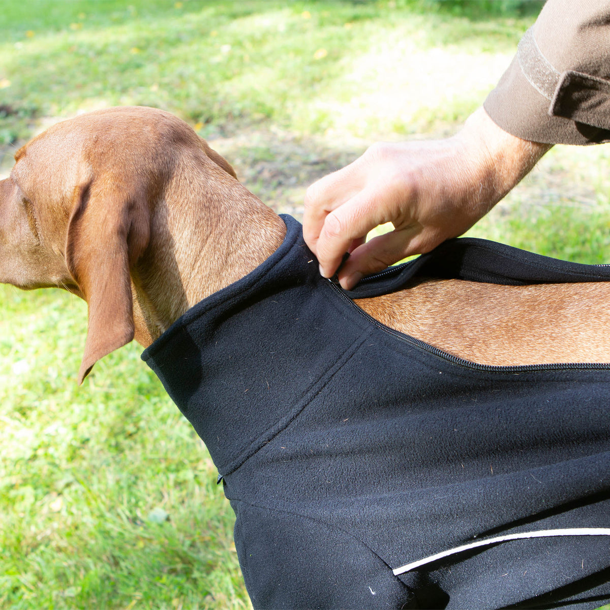 "Cassie" Hundepullover