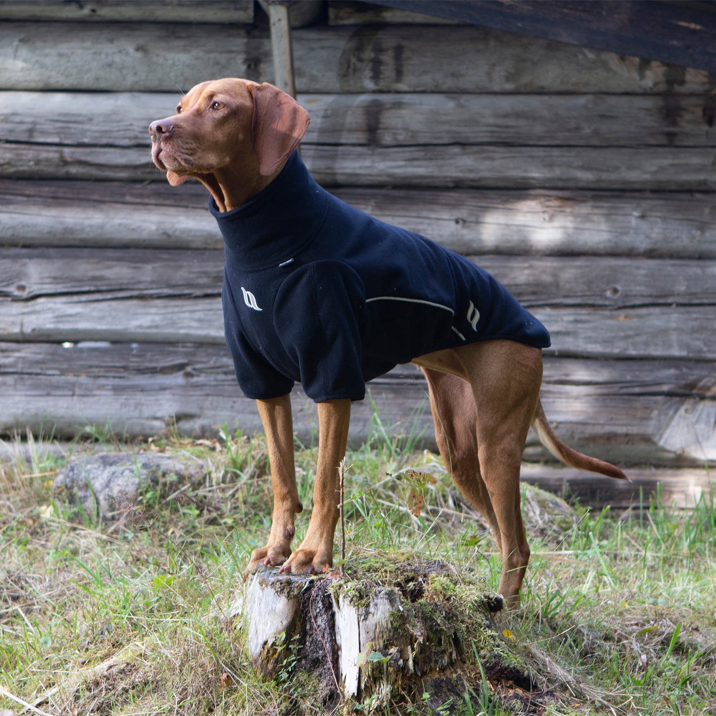 "Cassie" Hundepullover