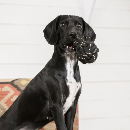 Dog Rope Dumbbell