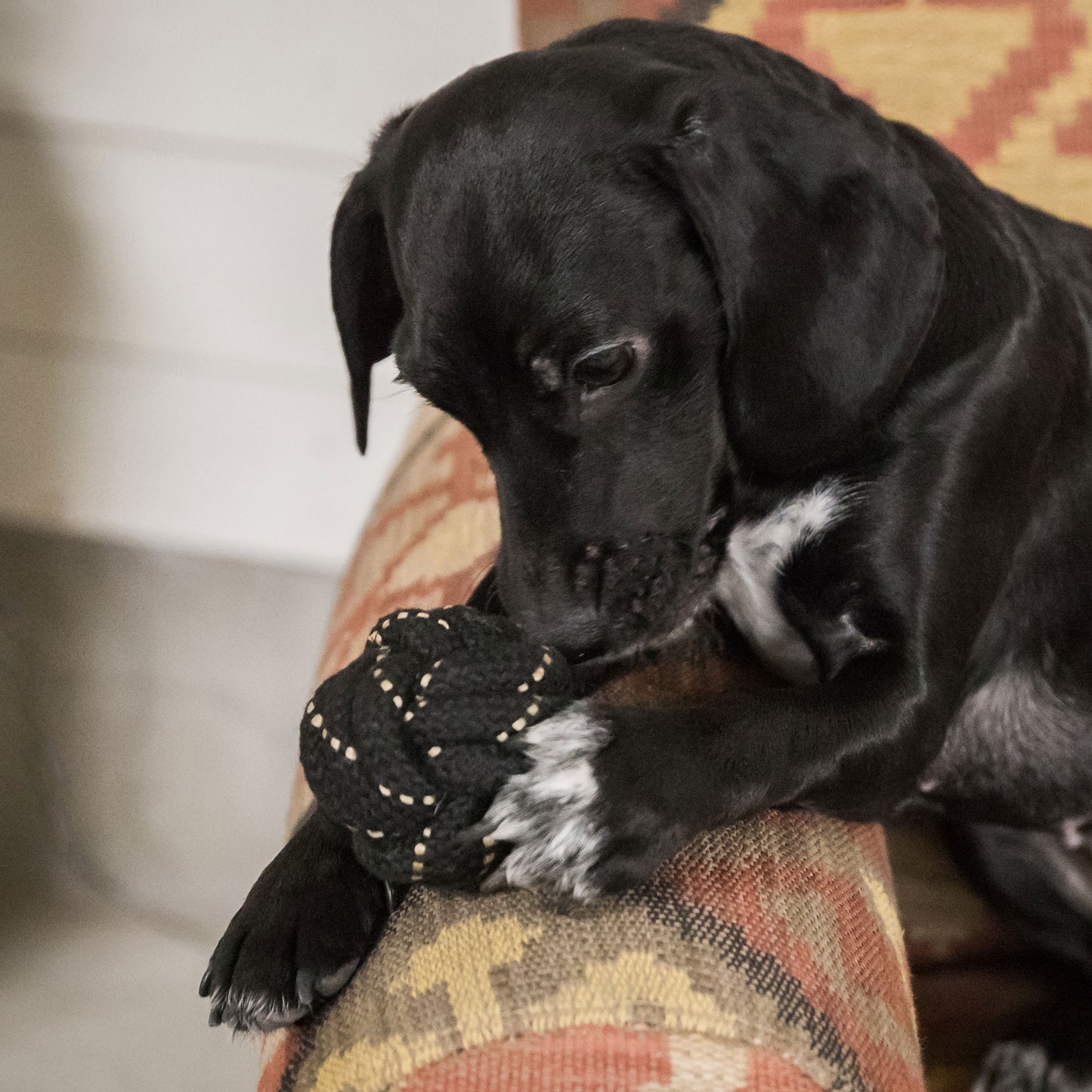 Dog Rope Ball