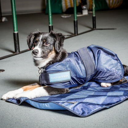Cool on track Kyltäcke Hund - Back on Track Sverige (5300240318619)