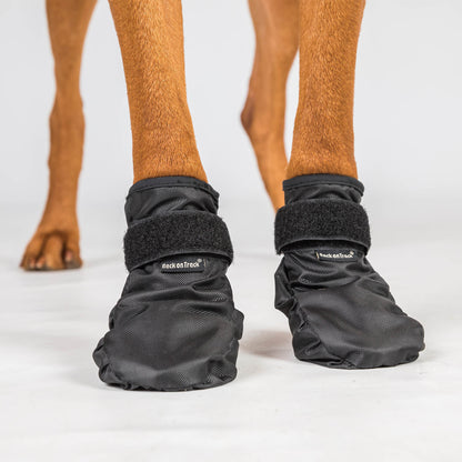 "Koda" Pet Shoes