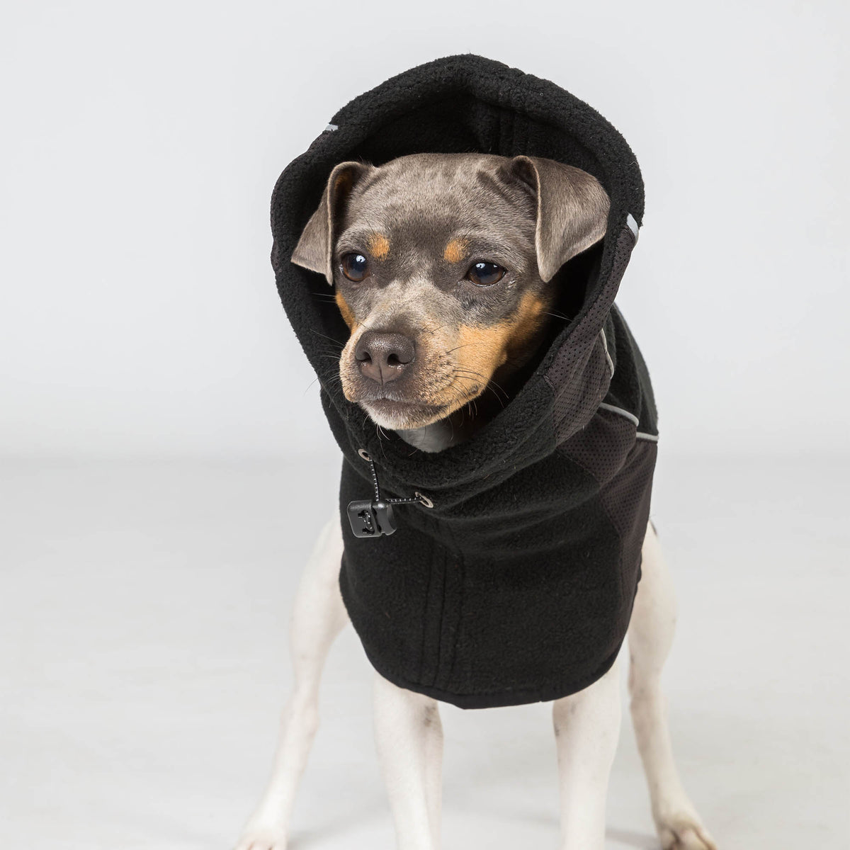 "Benji" Dog Neck Warmer