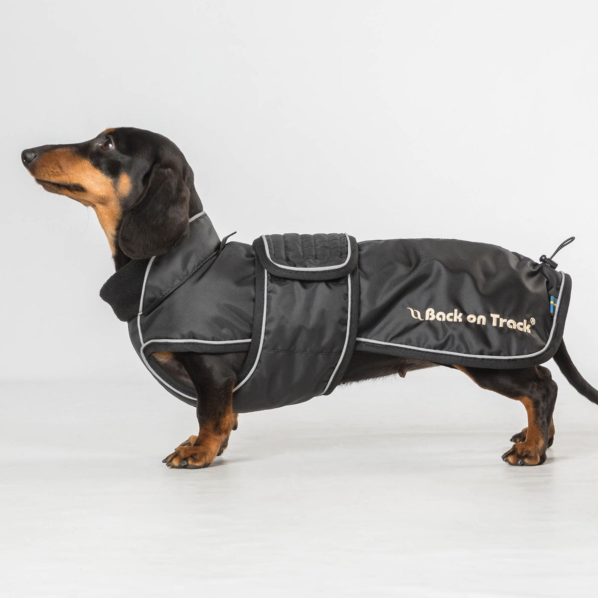 "Buddy" Long Dog Coat