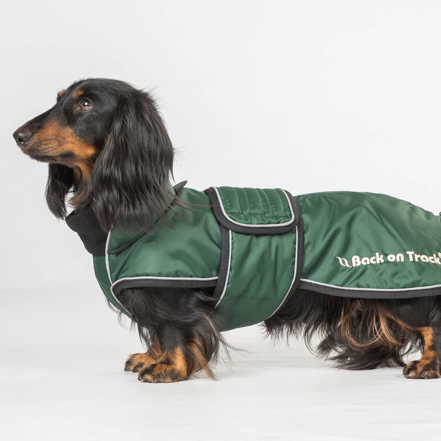 "Buddy" Long Dog Coat