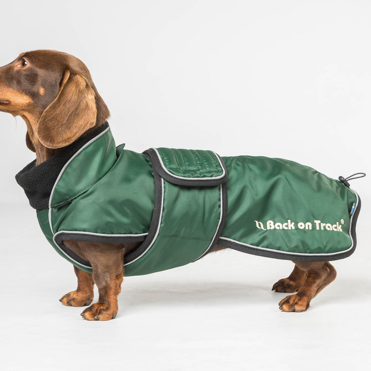 "Buddy" Long Dog Coat