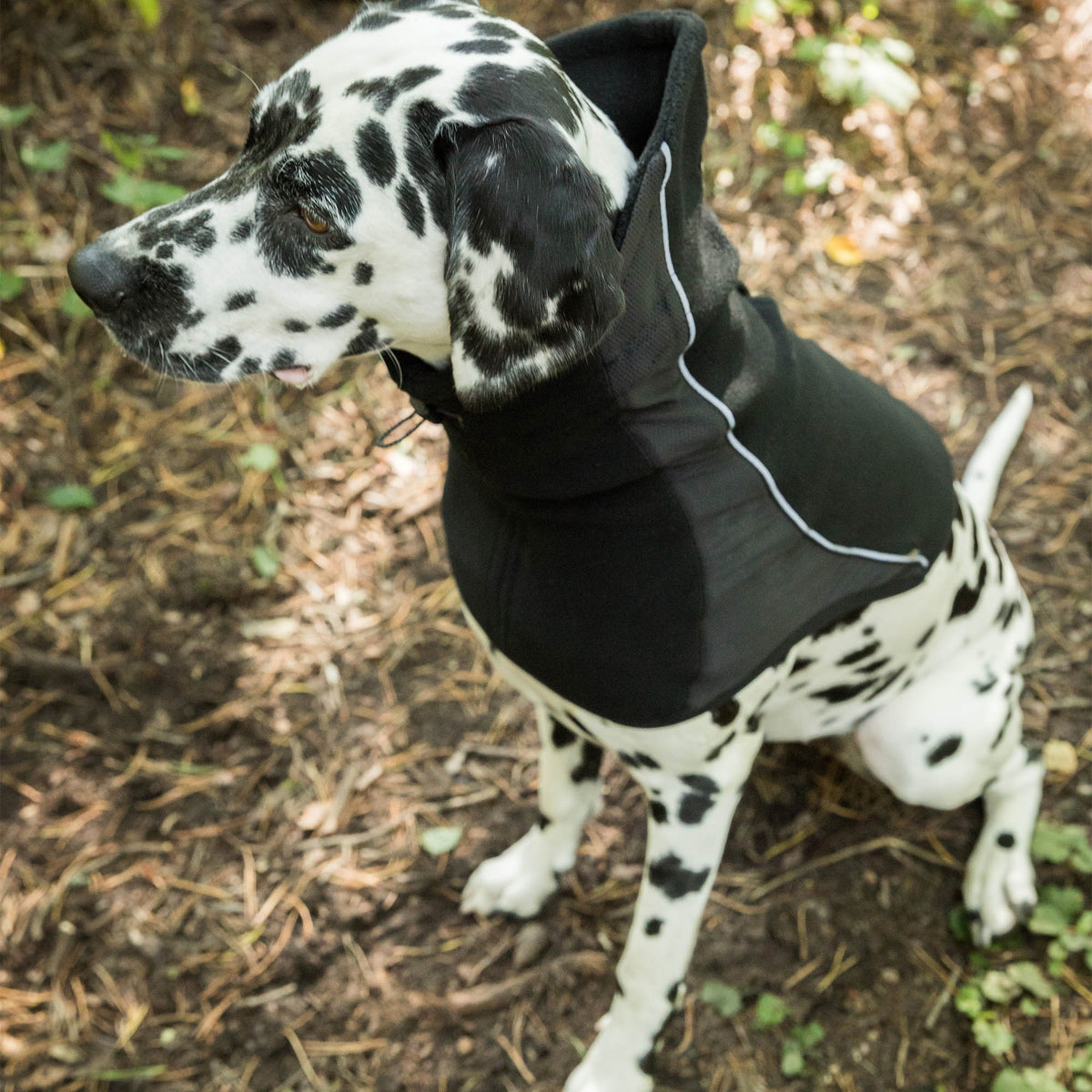 "Benji" Dog Neck Warmer