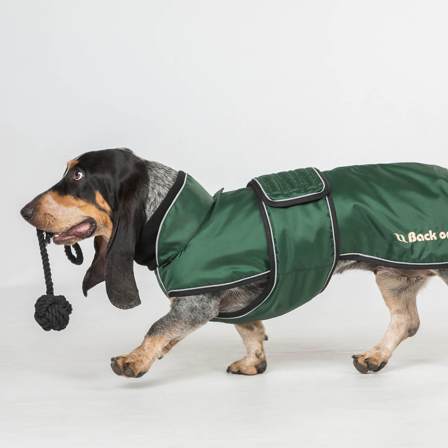"Buddy" Long Dog Coat